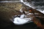 IMG_0448
