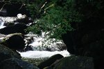 IMG_0492