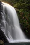 IMG_0510