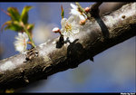 CRW_5921