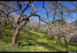 CRW_5956