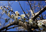 CRW_5964