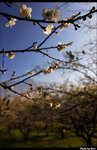 CRW_5971