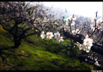 CRW_5984