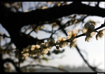 CRW_6004