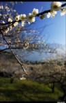 CRW_6008