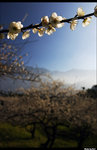 CRW_6009