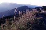 IMG_3760