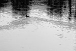 IMG_1872