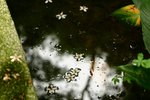 IMG_1922