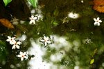 IMG_1927