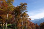 CRW_5252