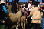 CRW_5283