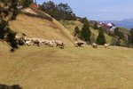 CRW_5315