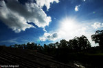nEO_IMG_DSC01529