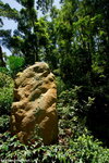 nEO_IMG_DSC01182