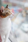 CHF_0327_resize