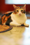 CHF_0343_resize