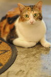 CHF_0355_resize