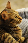 CHF_0420_resize