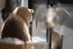CHF_1699_resize