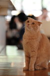 CHF_1708_resize