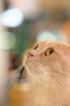 CHF_1718_resize