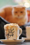 CHF_8507_resize