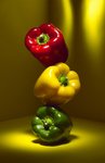 �վ�j�pFood Shot