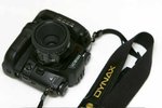 Minolta Dynax 7 + AF 50 f/2.8 Macro
