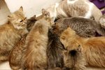 ~ �K�I�b,�����r ! ~