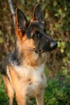 IMG_0800