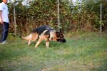 
IMG_0801