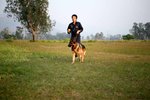 IMG_0807
