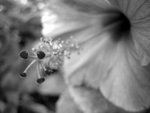 DSCN0184