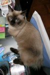 �Ӥ� 059ss