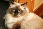 ~ ��ڤڪ�!!! ~ 