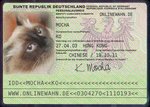 Mocha's ID