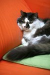 IMG_0726