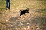 IMG_0740