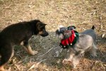 IMG_0749