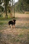 IMG_0779