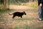 IMG_0780
