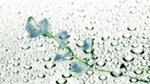 SC058v