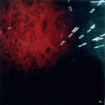 b496