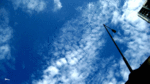 b331