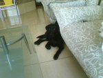P05-04-06_12.31[1]