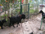 PICT0133
