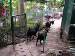 PICT0134
