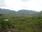 PICT0137
